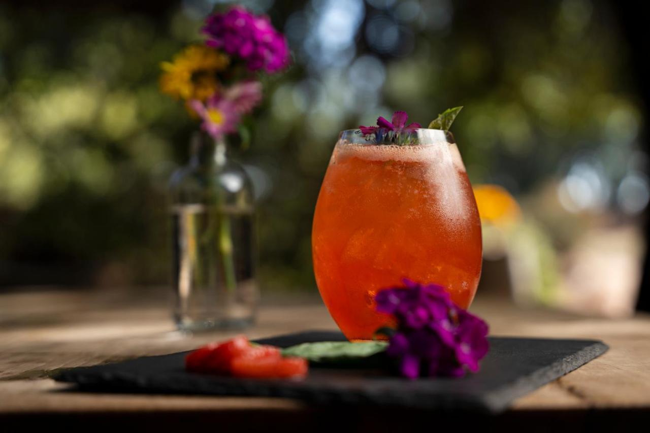 Banyan Tree Veya, Valle De Guadalupe - A Wellbeing & Wine Resort Exterior foto